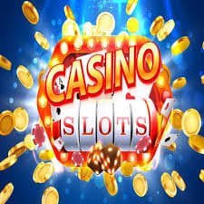 116bet